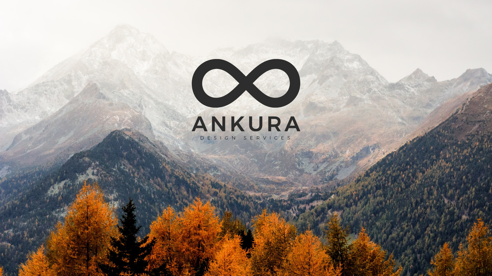 Ankura Design Services - Brand Image