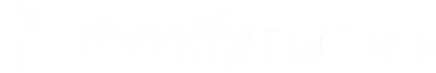 Shopify Partner